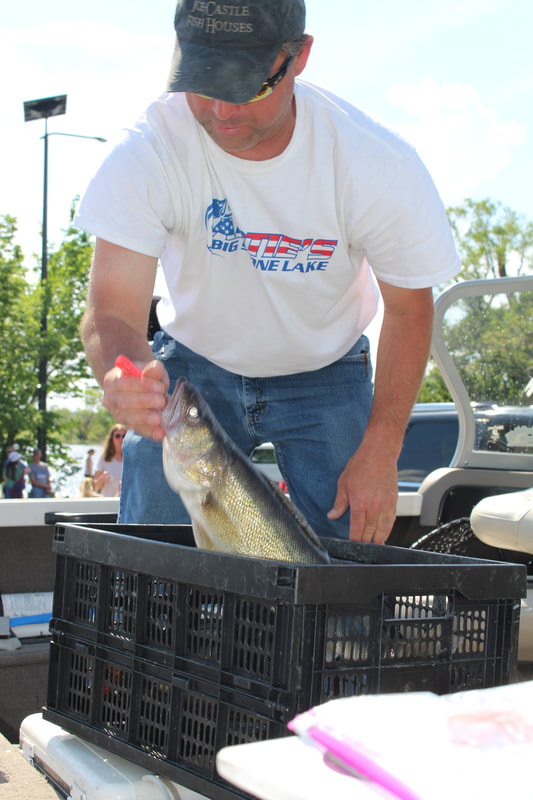 Tournament photo
